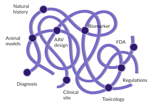maze showing the path to disease treatments