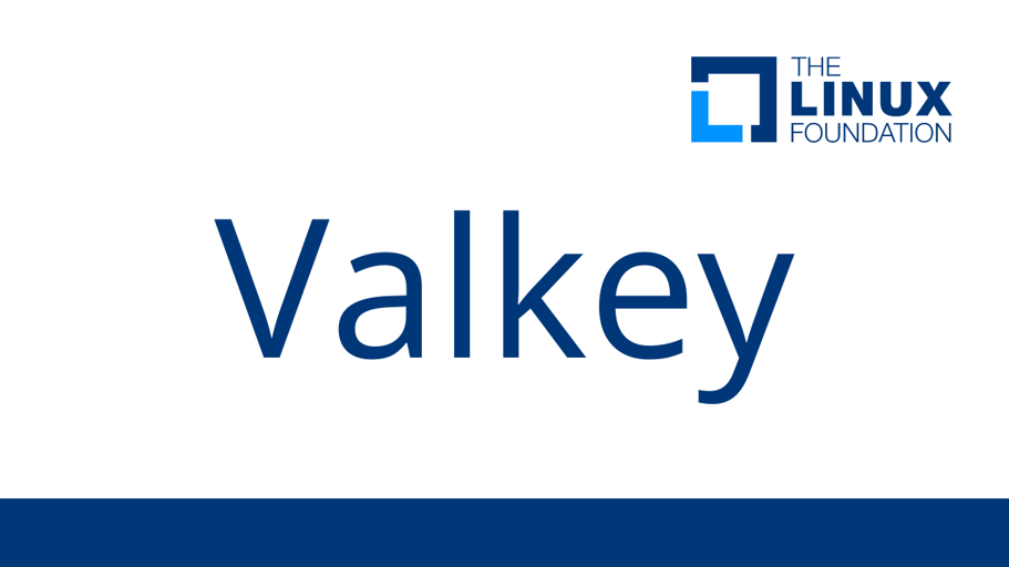 Linux Foundation Launches Open Source Valkey Community