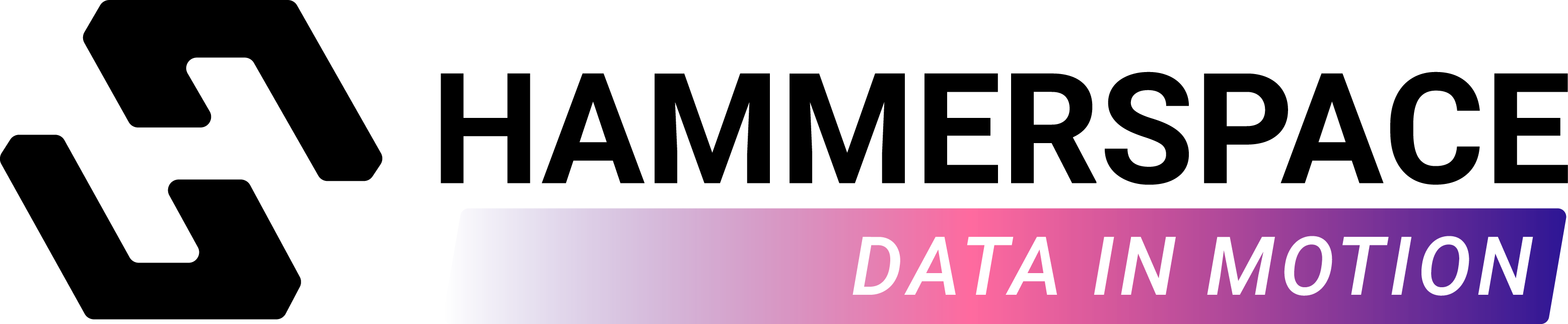 Hammerspace logo