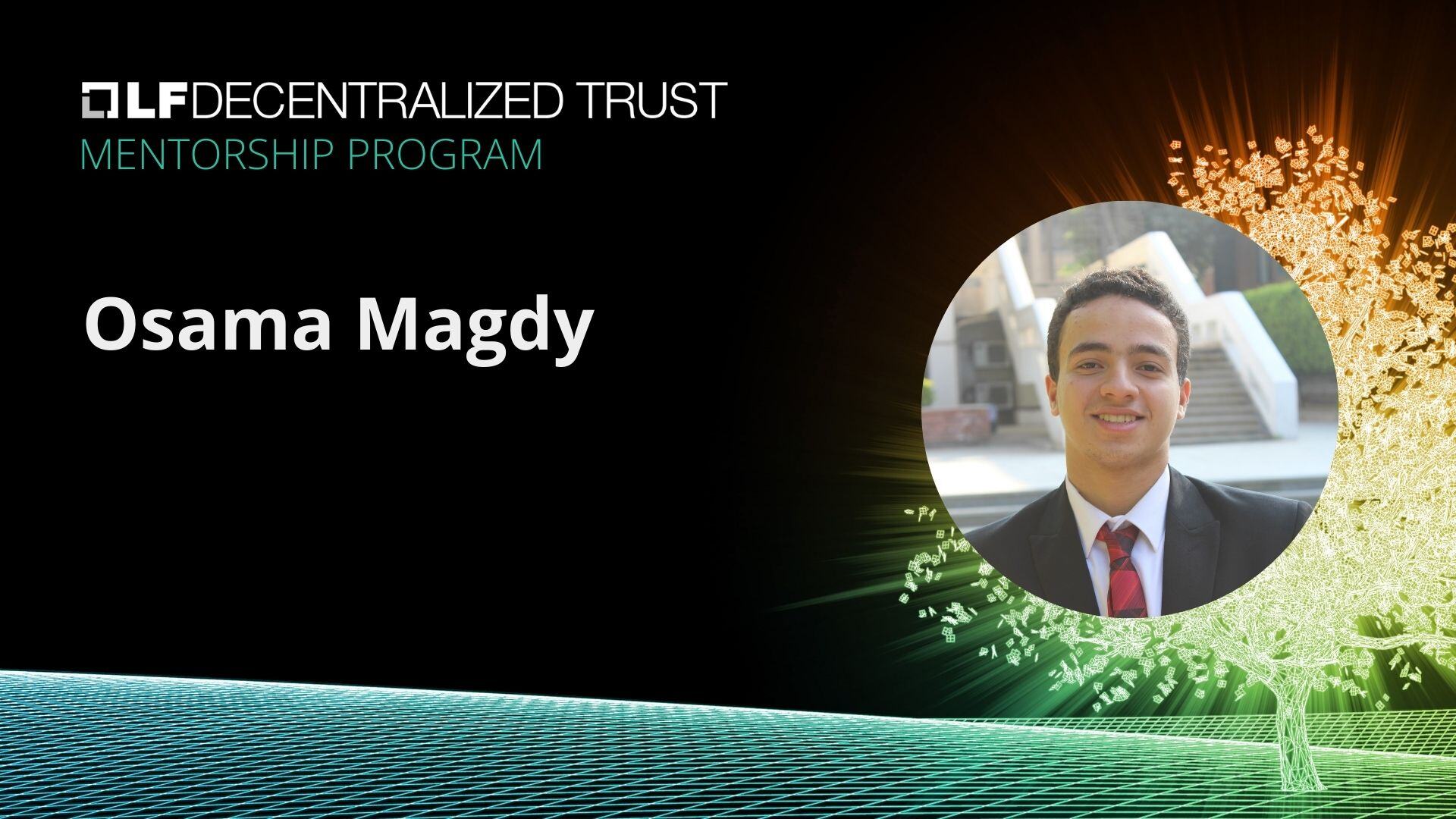 LF Decentralized Trust Mentorship Spotlight: CC-Tools Support for Fabric  Private Chaincode